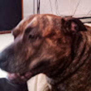 Meet your Posher, Larry